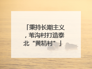 秉持长期主义，苇沟村打造泰北“黄精村”