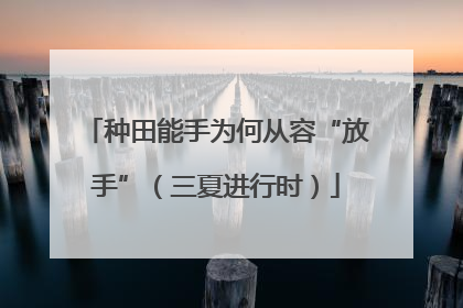 种田能手为何从容“放手”（三夏进行时）