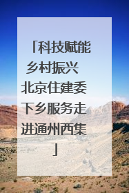 科技赋能乡村振兴 北京住建委下乡服务走进通州西集