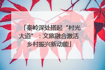 秦岭深处搭起“村光大道”：文旅融合激活乡村振兴新动能