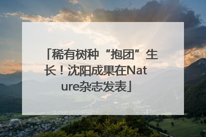 稀有树种“抱团”生长！沈阳成果在Nature杂志发表