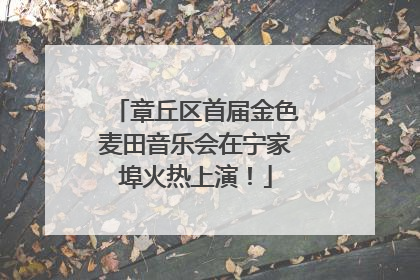 章丘区首届金色麦田音乐会在宁家埠火热上演！