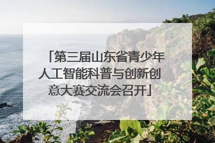第三届山东省青少年人工智能科普与创新创意大赛交流会召开