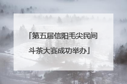 第五届信阳毛尖民间斗茶大赛成功举办