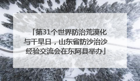 第31个世界防治荒漠化与干旱日，山东省防沙治沙经验交流会在东阿县举办