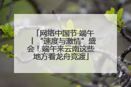 网络中国节·端午丨“速度与激情”盛会！端午来云南这些地方看龙舟竞渡