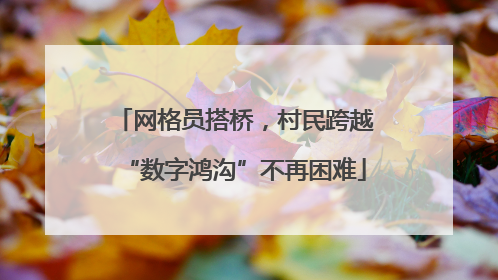 网格员搭桥，村民跨越“数字鸿沟”不再困难