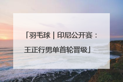 羽毛球｜印尼公开赛：王正行男单首轮晋级