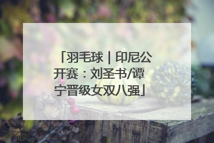羽毛球｜印尼公开赛：刘圣书/谭宁晋级女双八强