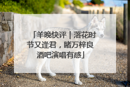 羊晚快评｜落花时节又逢君，睹万梓良酒吧演唱有感
