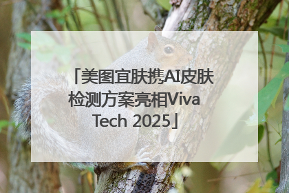 美图宜肤携AI皮肤检测方案亮相VivaTech 2025