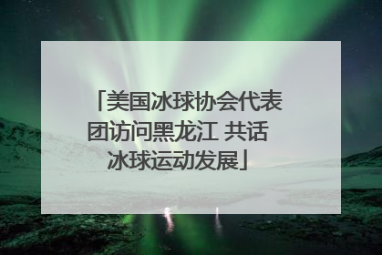 美国冰球协会代表团访问黑龙江 共话冰球运动发展
