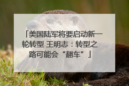 美国陆军将要启动新一轮转型 王明志：转型之路可能会“翻车”