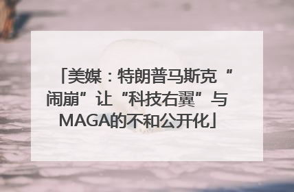 美媒：特朗普马斯克“闹崩”让“科技右翼”与MAGA的不和公开化