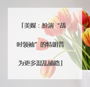 美媒:扮演“战时领袖”的特朗普为更多混乱铺路