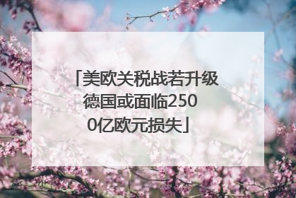 美欧关税战若升级 德国或面临2500亿欧元损失