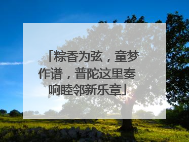 粽香为弦，童梦作谱，普陀这里奏响睦邻新乐章