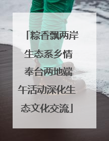 粽香飘两岸 生态系乡情 奉台两地端午活动深化生态文化交流