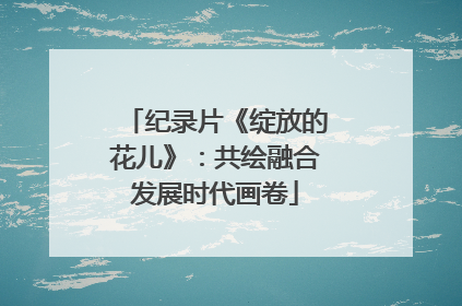 纪录片《绽放的花儿》：共绘融合发展时代画卷