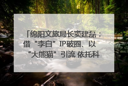 绵阳文旅局长窦建磊：借“李白”IP破圈、以“大熊猫”引流 依托科技优势绽放城市文旅魅力｜文旅局长说