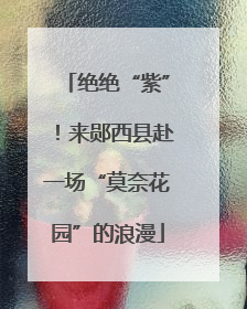 绝绝“紫”！来郧西县赴一场“莫奈花园”的浪漫