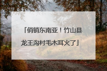 俏销东南亚！竹山县龙王沟村毛木耳火了