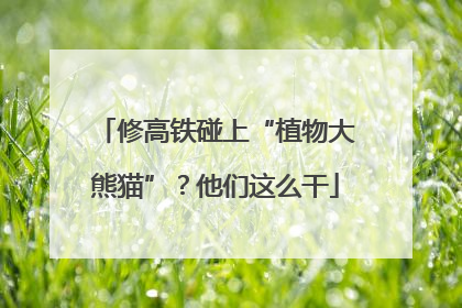 修高铁碰上“植物大熊猫”？他们这么干