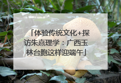 体验传统文化+探访朱熹理学：广西玉林台胞这样迎端午