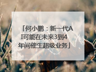 何小鹏：新一代AI可能在未来3到4年间催生超级业务