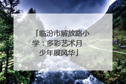 临汾市解放路小学：多彩艺术月 少年展风华