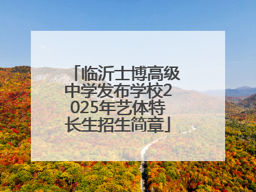 临沂士博高级中学发布学校2025年艺体特长生招生简章