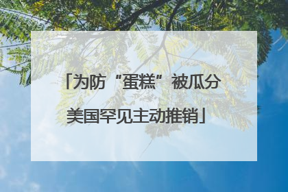 为防“蛋糕”被瓜分 美国罕见主动推销