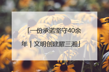 一份承诺坚守40余年｜文明创建耀三湘