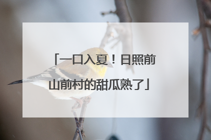 一口入夏！日照前山前村的甜瓜熟了
