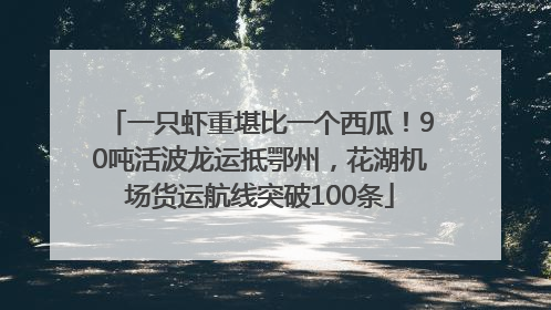 一只虾重堪比一个西瓜！90吨活波龙运抵鄂州，花湖机场货运航线突破100条