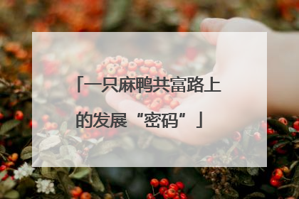 一只麻鸭共富路上的发展“密码”