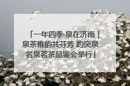 一年四季·泉在济南｜泉茶雅韵共芬芳 趵突泉名泉茗茶品鉴会举行