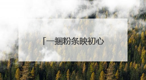 一捆粉条映初心!大别山这些红色故事里藏着纪律建设的 “密码”