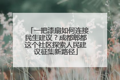 一把漆扇如何连接民生建议？成都郫都这个社区探索人民建议征集新路径