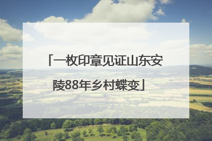 一枚印章见证山东安陵88年乡村蝶变