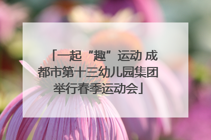 一起“趣”运动 成都市第十三幼儿园集团举行春季运动会