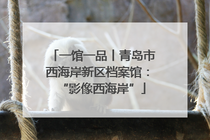一馆一品丨青岛市西海岸新区档案馆：“影像西海岸”