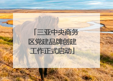 三亚中央商务区党建品牌创建工作正式启动