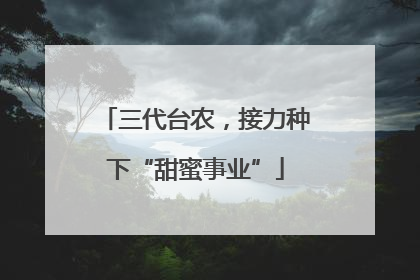 三代台农，接力种下“甜蜜事业”
