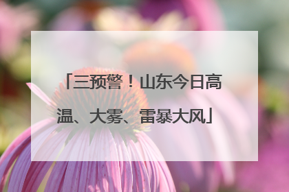 三预警！山东今日高温、大雾、雷暴大风