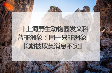 上海野生动物园发文科普非洲象：同一只非洲象长期被欺负消息不实