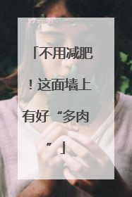 不用减肥！这面墙上有好“多肉”