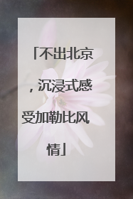 不出北京，沉浸式感受加勒比风情