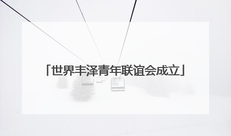 世界丰泽青年联谊会成立