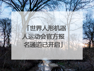 世界人形机器人运动会官方报名通道已开启